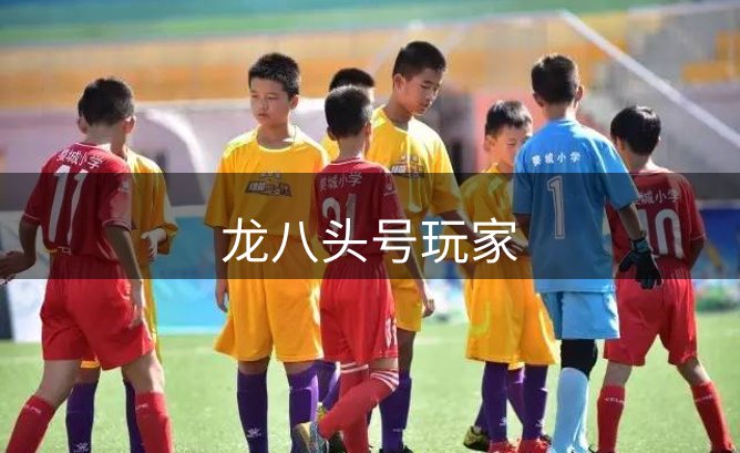 网站介绍
